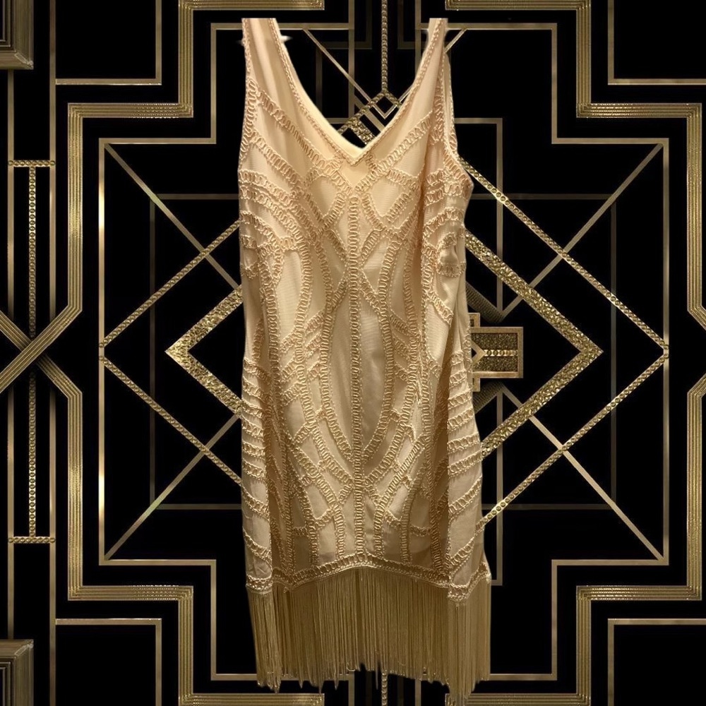 Unique Vintage Gatsby Flapper Dress